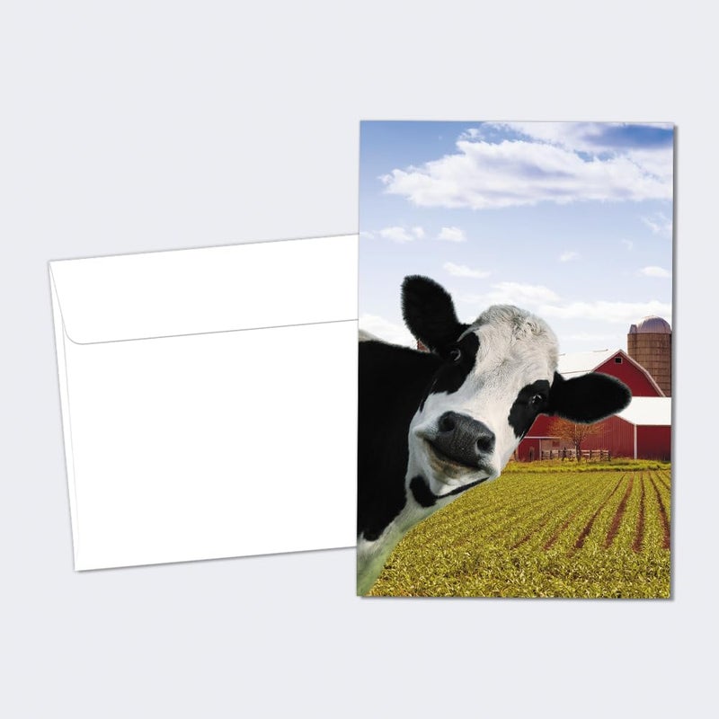 Tree-Free Greetings EcoNotes 12 Count Cow Photobomb All Occasion Notecard Set with Envelopes, 4 x 6 Inches (FS56364) - Image 1